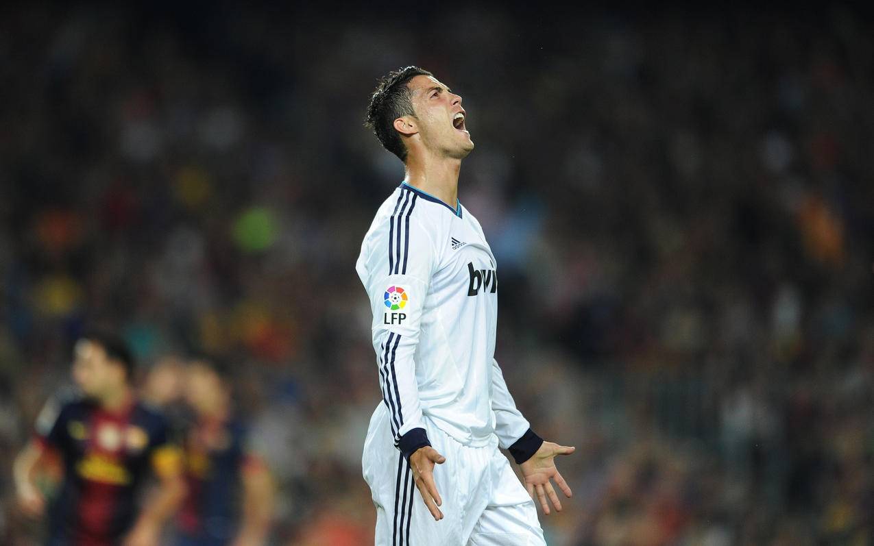 点表达支持 点表达支持